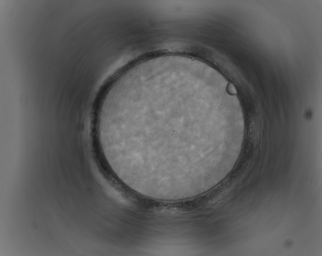 X0000094210730200711241659
