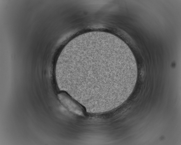 X0000094210732200711241659