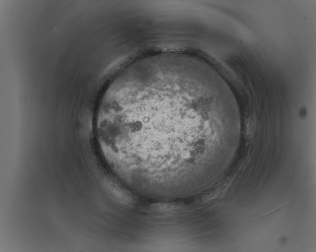 X0000094210733200711241659