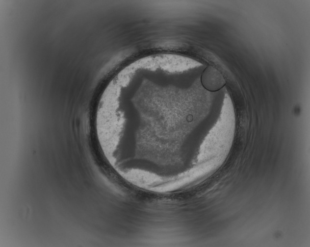 X0000094210734200711241659