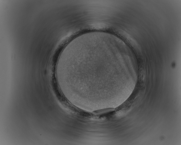 X0000094210736200711241659