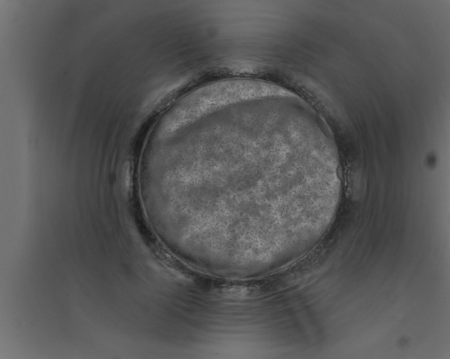 X0000094210740200711241659