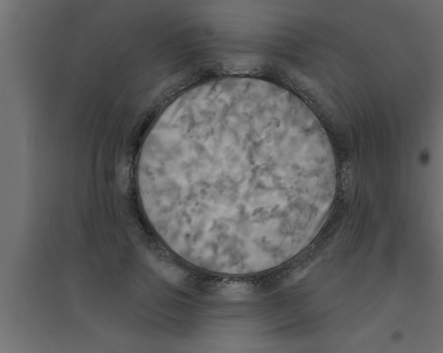X0000094210741200711241659