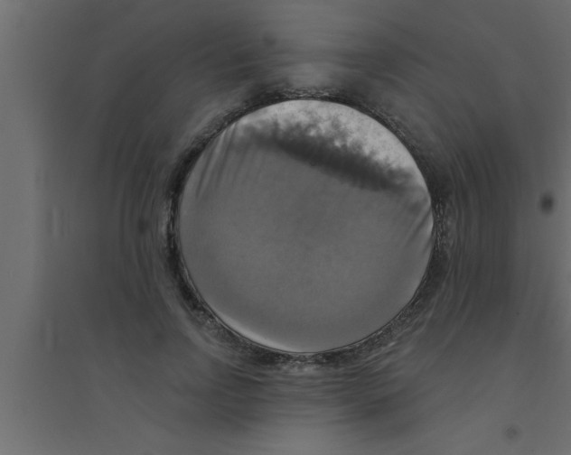 X0000094210742200711241659