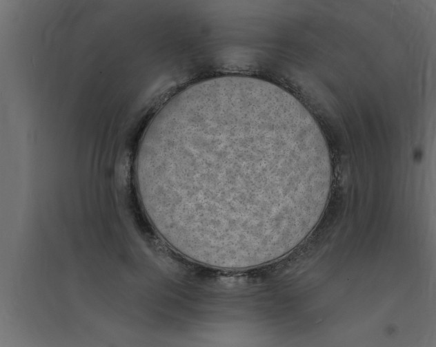 X0000094210744200711241659