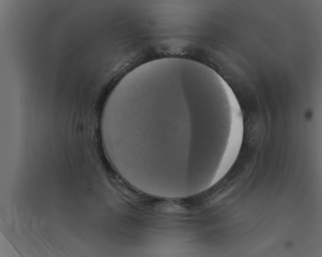 X0000094210747200711241659