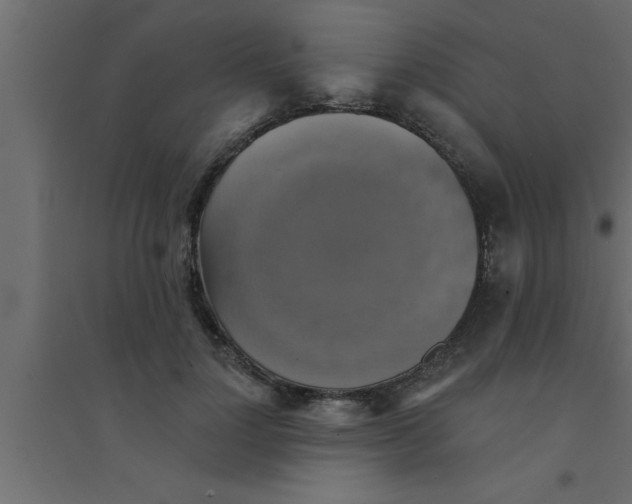 X0000094210748200711241659