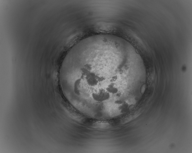 X0000094210749200711241659