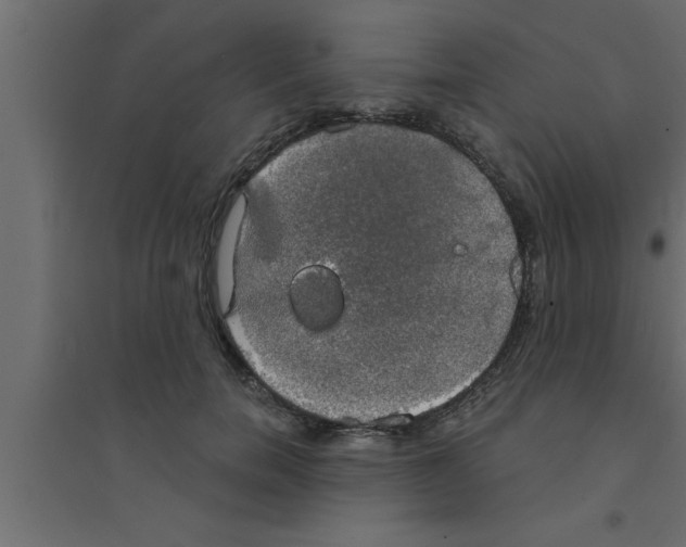 X0000094210750200711241659