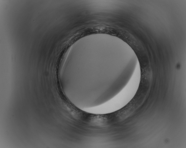 X0000094210754200711241659