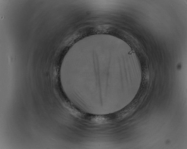 X0000094210759200711241700