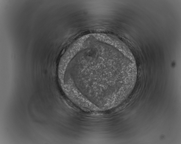 X0000094210760200711241700