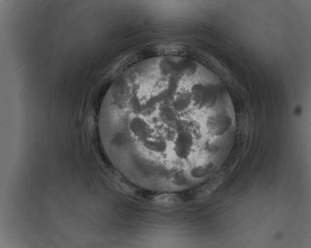 X0000094210761200711241700