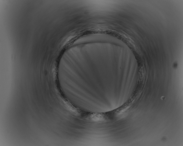 X0000094210762200711241700