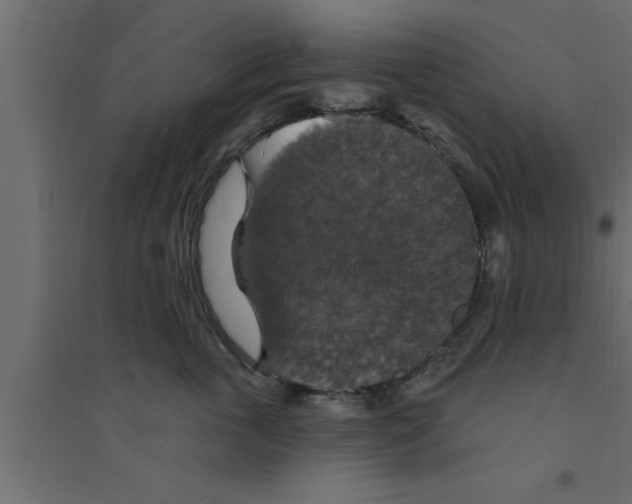 X0000094210763200711241700