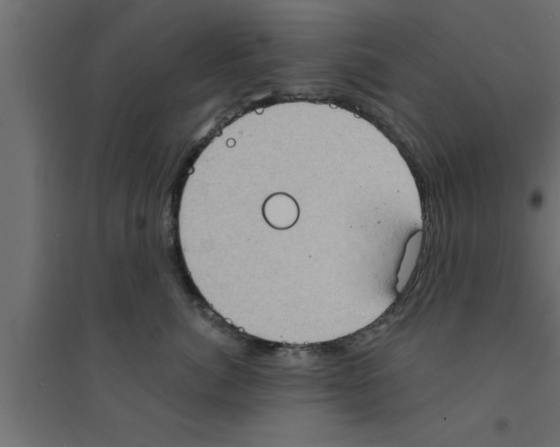 X0000094210764200711241700