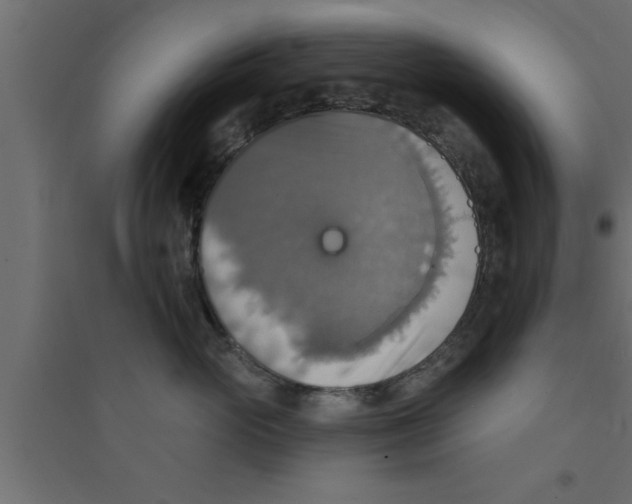 X0000094210765200711241700