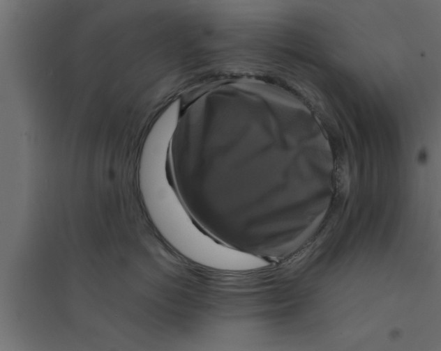 X0000094210766200711241700