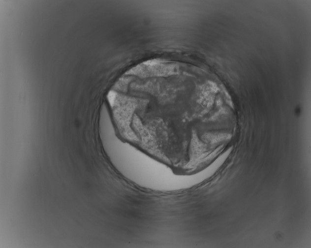 X0000094210769200711241659