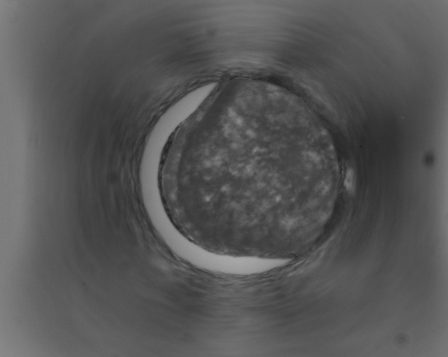 X0000094210771200711241659