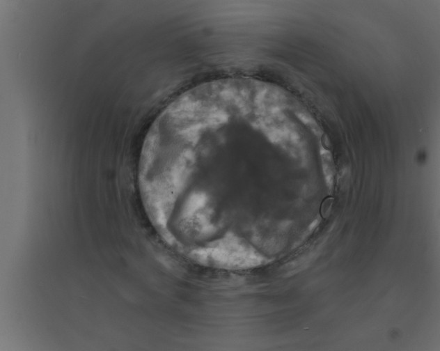 X0000094210772200711241659