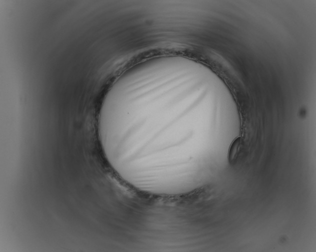 X0000094210773200711241659