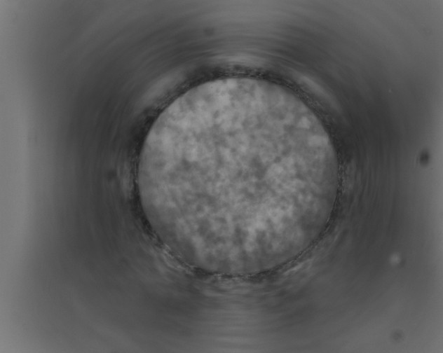X0000094210774200711241659