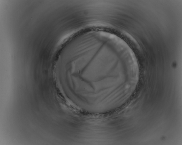 X0000094210775200711241659