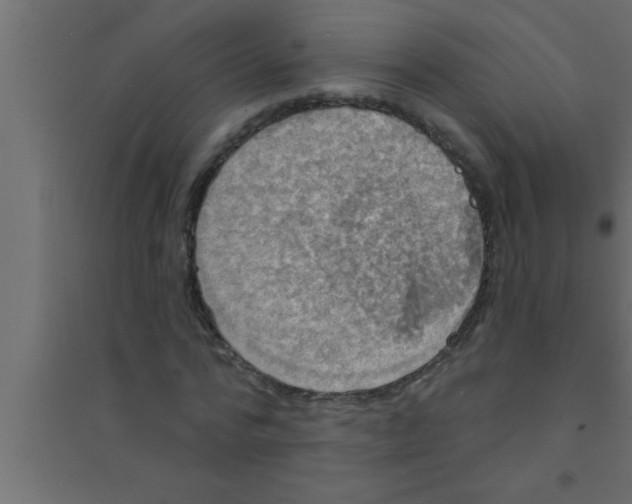 X0000094210776200711241659