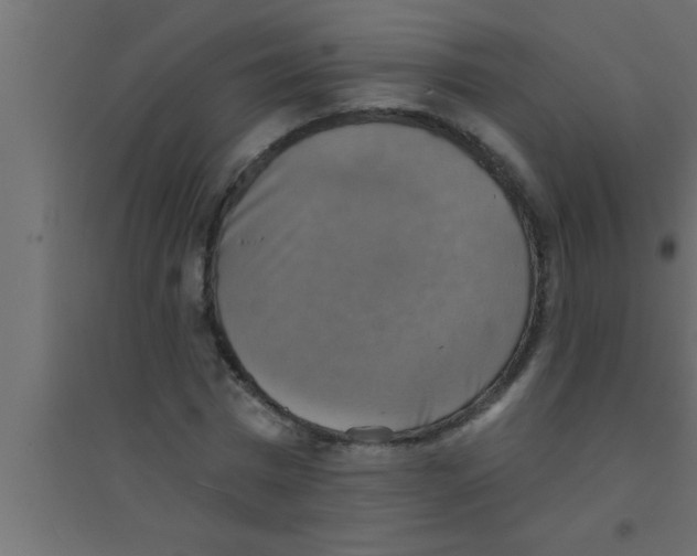 X0000094210777200711241659