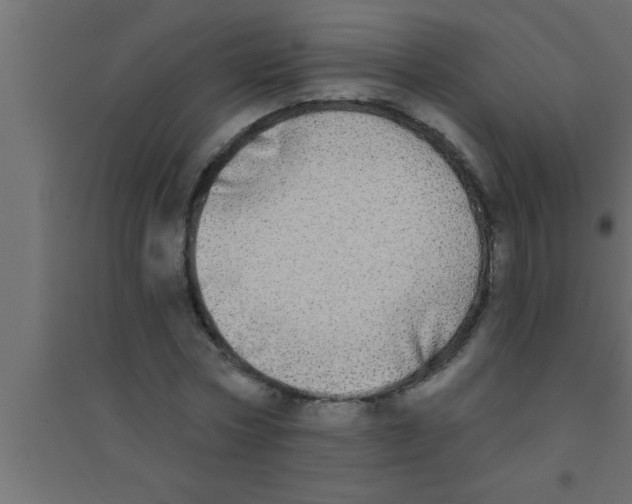 X0000094210778200711241659
