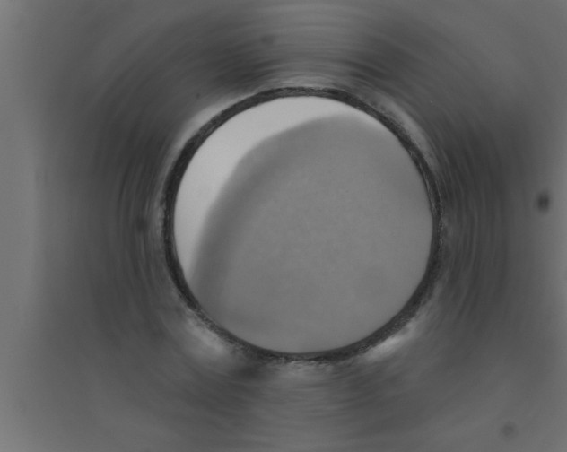X0000094210779200711241659