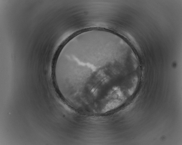 X0000094210780200711241659