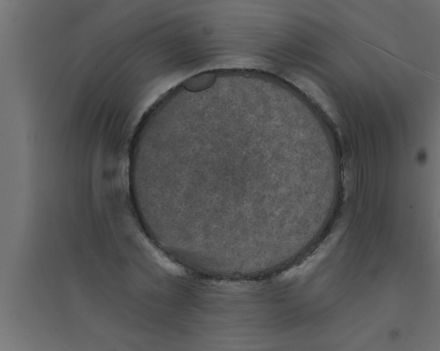 X0000094210781200711241659