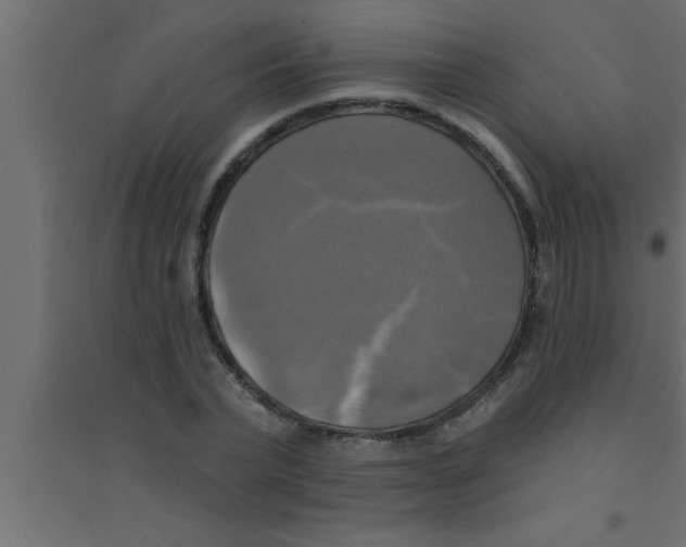 X0000094210783200711241659