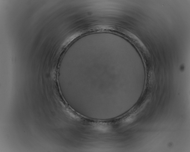 X0000094210785200711241659