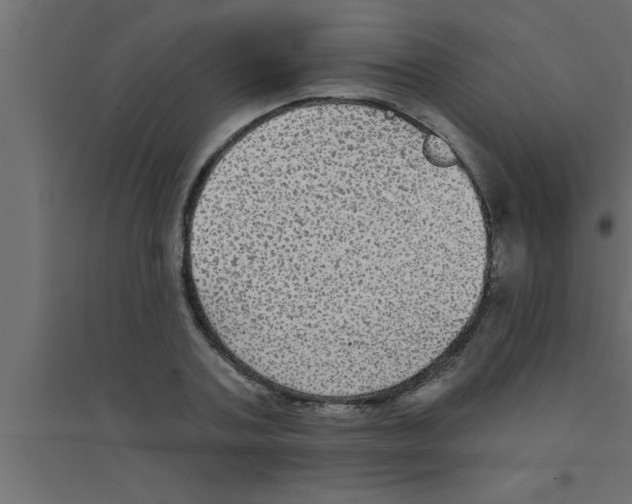 X0000094210787200711241659