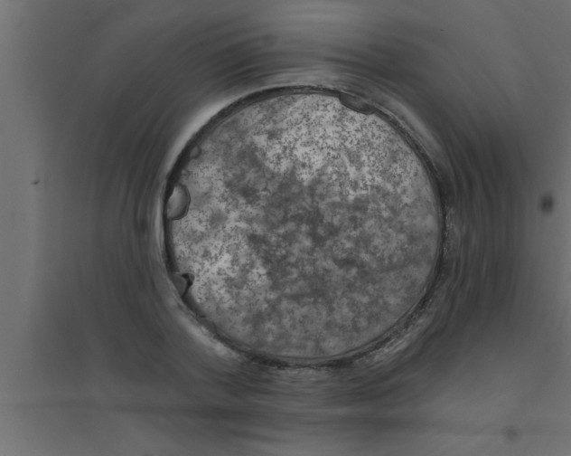 X0000094210788200711241659