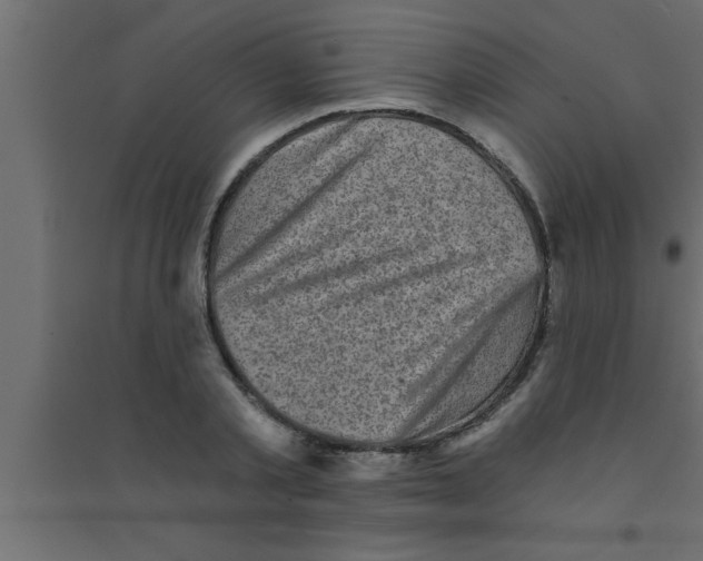 X0000094210789200711241659