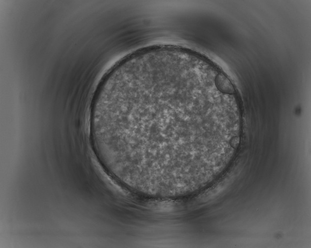 X0000094210791200711241659