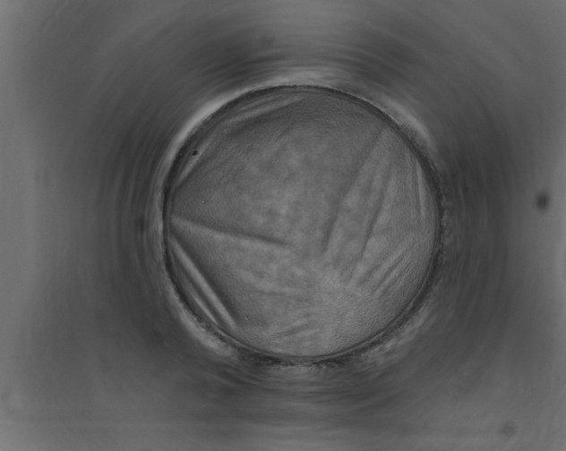 X0000094210792200711241659