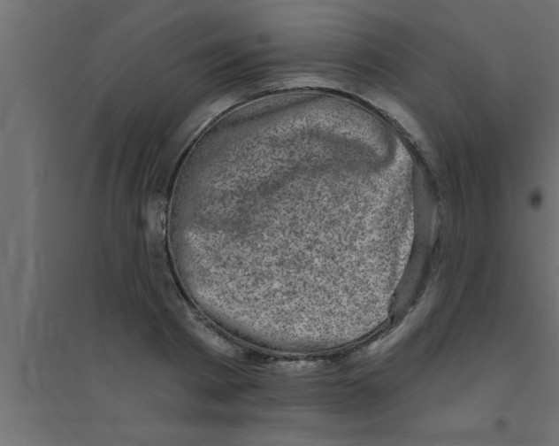 X0000094210793200711241659