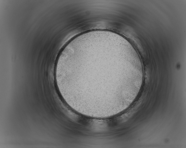 X0000094210794200711241659