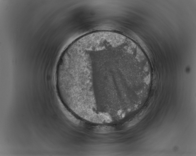 X0000094210795200711241659