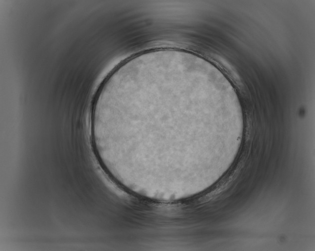 X0000094210796200711241658
