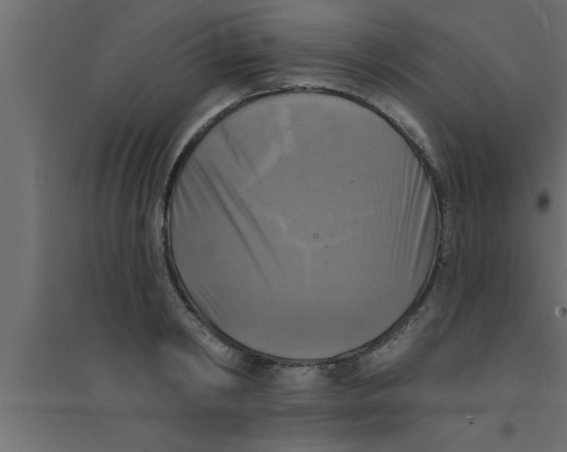 X0000094210798200711241658
