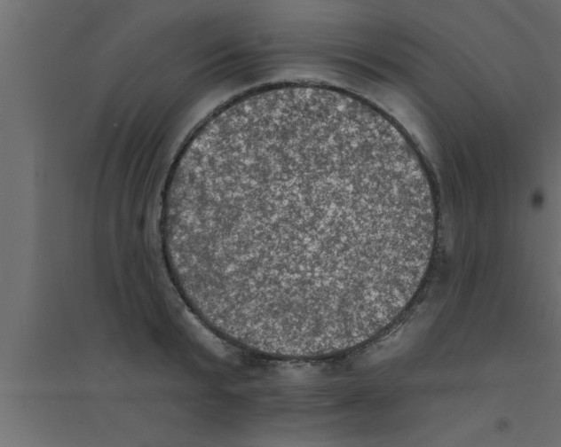 X0000094210799200711241658
