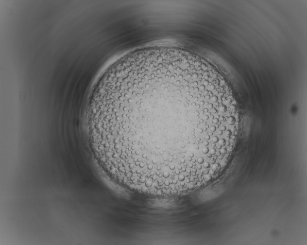 X0000094210800200711241658