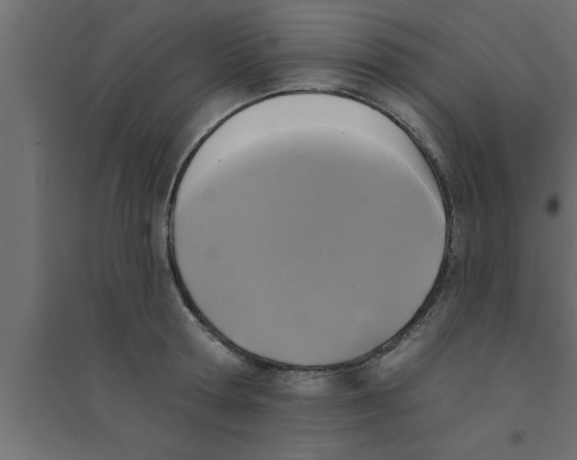 X0000094210802200711241658