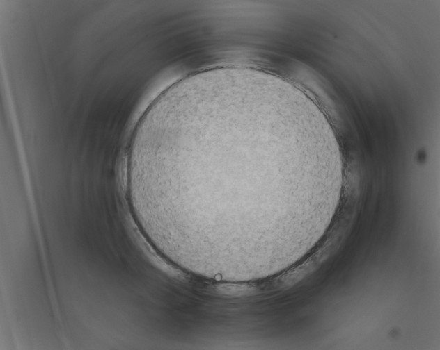 X0000094210804200711241658